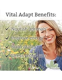 Natura Productos de salud – Vital Adapt – Herbal Tonic nutre función, mejora la energía y el estrés...