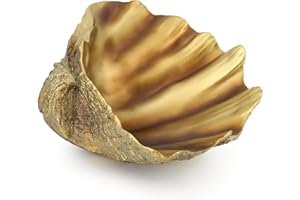 ACCESSORYWAY Large Clam Shells Decorative Bowl-Bronze/Golden Sea Shells Decorative Storage Bowls for Coastal Beach theme house table centerpiece decorations & Nautical decorations for coffee table -10.2"-1PC