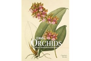 RHS Orchids