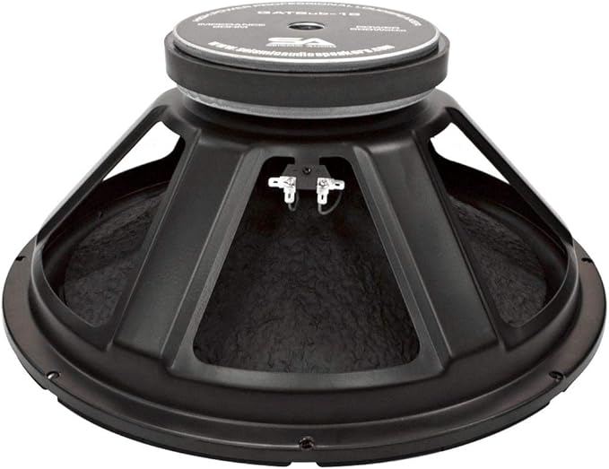 q one speaker 18 inch 1000 watt price