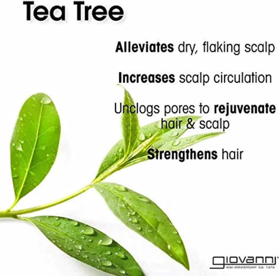 Giovanni Tea Tree Triple Treat Shampoo - 250ml, Tea Tree Triple Treat (Tea Tree Botanicals), 250 ml (Pack of 1) - Image 4