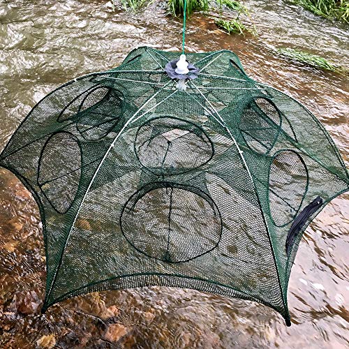 Isali Tools - New ETT 4-20 Holes Automatic Folding Fishing Net Shrimp Cage Nylon Foldable Crab Fish Trap Cast Net Cast Folding Fishing Network - (Color: 10 Sides 20 Holes Di)