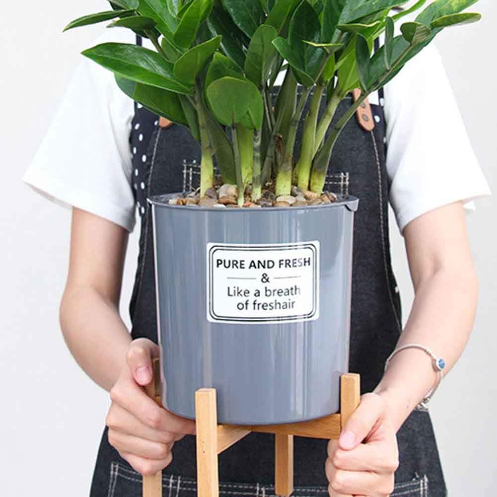 beiyoule Plant Stand - Image 4