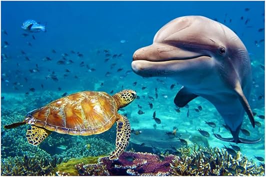 XZRDP Animales subacuáticos delfín Tortuga Pescado Imprimir Arte