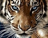 YEESAM ART Paint by Number Kits for Adults Kids - Majestic Tiger Sharp Eye 16x20 inch Linen Canvas (Without Frame)