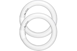 CHKADAWA Circular Bulb FC8T9/DL, 8 Inch T9 22W Circline Fluorescent Light Bulbs, Replacement Round Fluorescent Lamp Tube, Bright Daylight 6400K 1250 Lumens, G10q 4 Pin Base, 2 Pack