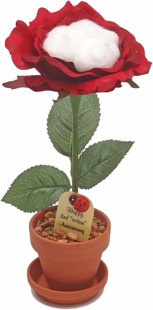 Amazon Com Justpaperroses 2nd Cotton Potted Silk Desk Rose With Cotton 2nd Year Wedding For Him Or Her Home Kitchen