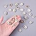PandaHall Elite About 50 Pcs Tiny Cowrie Sea Shells Oval Ocean Beach Spiral Seashells Craft Charms Length 18-20mm Candle Making, Home Decoration, Party Wedding Decor, Fish Tank Vase Filler