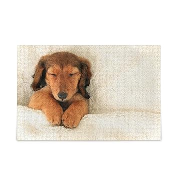 dachshund jigsaw puzzle