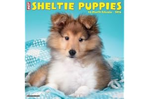 Sheltie Puppies 2026 12" x 12" Wall Calendar