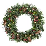 Best Choice Products 24-inch Pre-Lit Cordless Artificial Spruce Christmas Wreath with 50 LED Lights, Silver Bristles, Pine Cones, Berries, Green