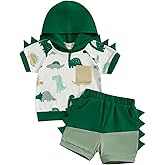 LIOMENGZI Toddler Baby Boy Hooded Dinosaur Summer Outfit Funny T-Shirt Shorts Set Infant Dinosaur Clothes 6 12 18 Months 2T