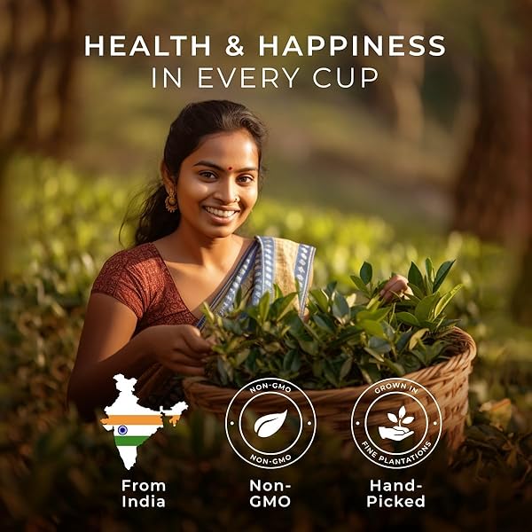 GYA TEA CO EARL GREY MASALA CHAI BLACK TEA POD (16 CT) – CAFFEINATED SMOOTH TEA RICH IN CITRUSY FOR REFRESH & ENERGY