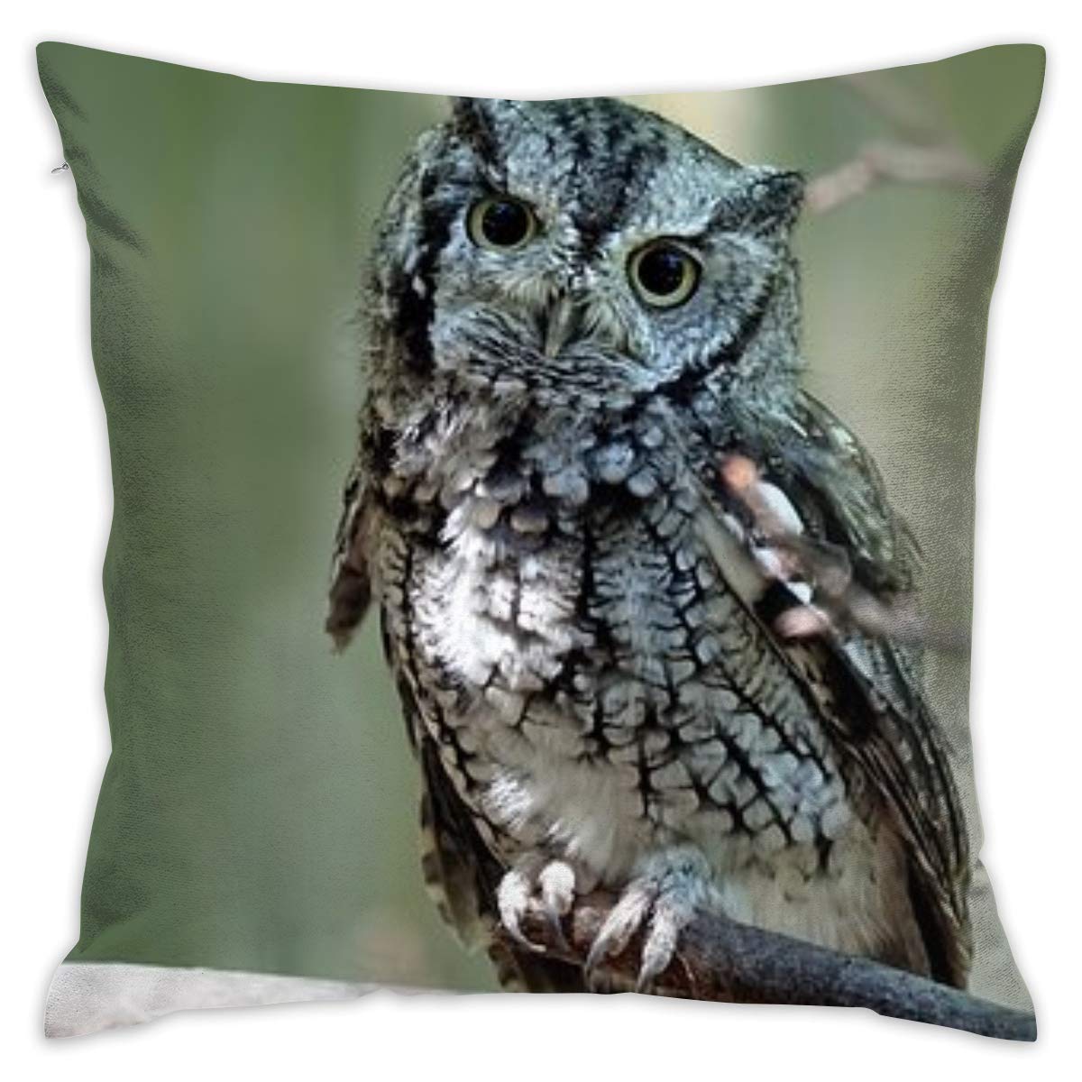 Amazon Com Hunand Eastern Screech Owl Bedroom Accessories