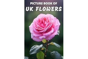 Picture Book of UK Flowers: Colorful Extra-Large Print Popular Flower Pictures with Their Names | A Gift/Present Book for Alz