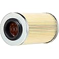 Sea-Doo New OEM Oil Filter, 420956741