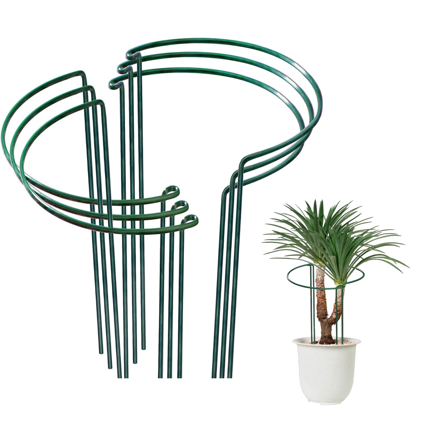 OLDELITE 6pcs Plant Supports for Outdoor Plants, 20 x 35 cm Plant Stakes Metal Half Round Plant Supports Ring Cage, Garden Plant Supports for Rose, Flowers, Vine and Tomato Plants