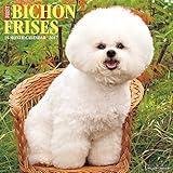 Just Bichons Frises 2017 Wall Calendar (Dog Breed Calendars)
