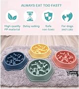 CAISHOW Slow Feeder Dog Bowl Small Medium Dogs Non-Slip Safe Material view 7