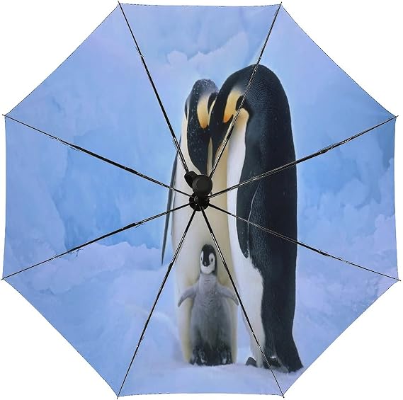気怠い 診療所 初期の ペンギン 傘 Kornfieldinvestmentmanagement Net