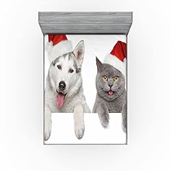 Ambesonne Christmas Fitted Sheet, Dog and Cat in