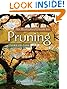 An Illustrated Guide to Pruning