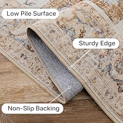 GENIMO 3x5 Area Rugs for Living Room, Machine