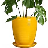 EPFamily Ceramic Plant Pot - 8 Inch Planter Pot with Drainage Hole and Saucer Round Planter for Indoor Outdoor Plants Flower Pot for Home Patio Garden Office Yellow