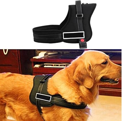 hdp big dog no pull dog harness