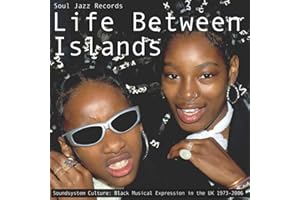 Life Between Islands - Soundsystem Culture: Black Musical Expression in the UK 1973-2006