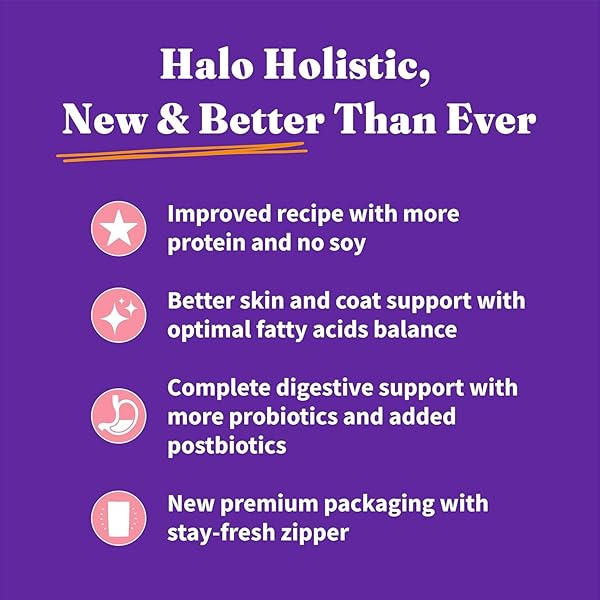HALO HOLISTIC CAT FOOD WILD CAUGHT SALMON & WHITEFISH FORMULA, HEALTHY GRAINS DRY CAT FOOD, COMPLETE DIGESTIVE HEALTH, KIBBLE FOR ADULT CATS, 6 LB BAG