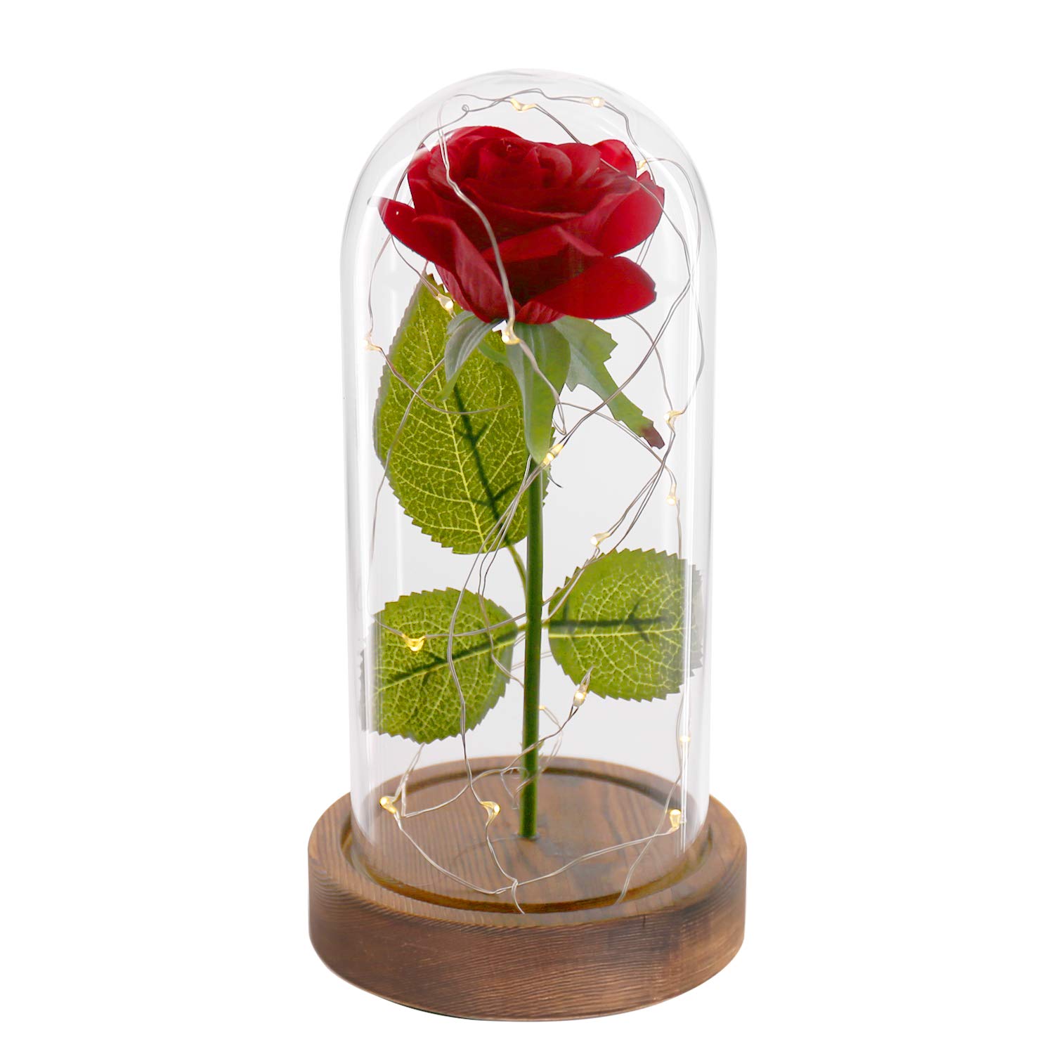 Amazoncom Beauty And The Beast Rose Enchanted Red Silk Rose Kit