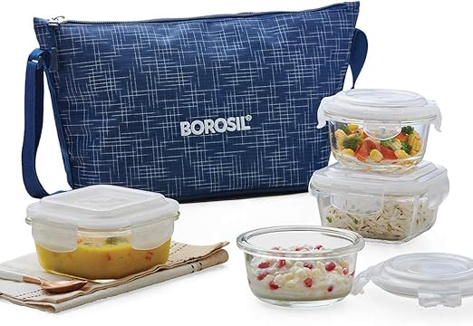 borosil 4 piece lunch box