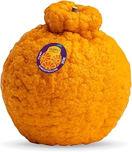 Sumo Citrus