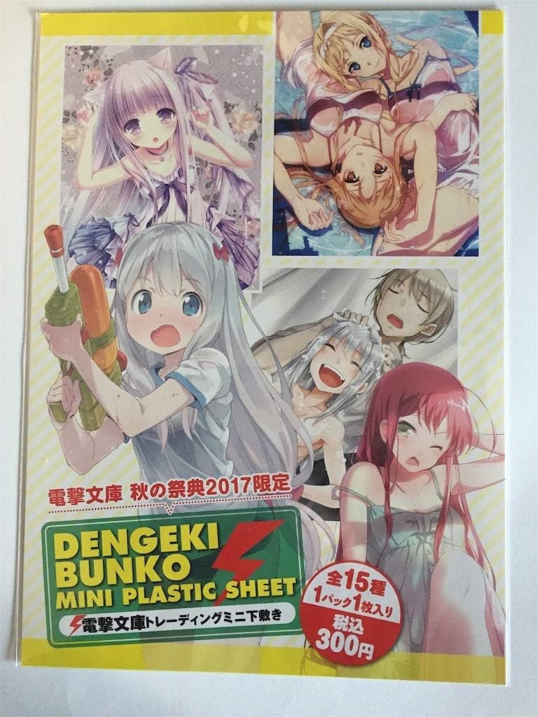 Amazon 電撃文庫 秋の祭典 17 会場限定 ミニ 下敷き レアイラスト 新約 とある魔術の禁書目録 アニメ 萌えグッズ 通販