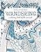 Wandering: a coloring book of the unusual by Dream Ripple