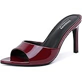 Susanny Women's Sandals Heels Mule High Heels Pointed Open Toe Sandals Sexy Slip on Heeled Summer Casual Wedding Prom Party Comfortable Dressy Shoes