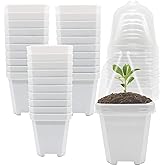 PURPLE STAR 1N 30 PCS Plant Nursery Pots with Humidity Dome-Gardening Pots Small-Square Planting Containers Cups for Succulents Seedlings Cuttings Transplanting (30 PCS-S)