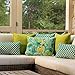 Pillow Perfect Outdoor/Indoor Throw Pillows, Large - 18.5