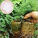 AROMA TREES 600 Biodegradable Non-Woven Nursery Bags Plant Grow Bags Fabric Seedling Pots Plants Pouch Home Garden Supply (6 Size), 600Pcs