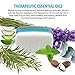 Pumice Stone for Feet - 2 in 1 Scrubber with Soap (Ta Tree) - Foot Care & Pedicure Kit - Valentines Day Gifts for Her