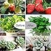 [2018 Upgraded] 18W Dual Head Timing LED Grow Lamp 36 LED Chips 2-Mode with Red/Blue Spectrum for Indoor Plants, Timer 3/6/12H, 5 Dimmable Levels, Adjustable Gooseneck