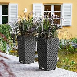 Lechuza Cubico Cottage 30 All-in-One