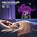 Night Light 3D Dinosaur Triceratops 3D Lamp Optical Illusion Nightlight Animals Bedside Lamp 7 Colors Changing LED Lamps with Remote Birthday Gifts for Girls Kids Baby Boys (Dinosaur Triceratops)