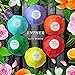 Enther Bath Bombs Gift 6 Pack,Lush Fizzy Spa,Organic & Natural Ingredients for Dry Skin Moisturize,Perfect for Bubble & Spa Bath,Best Gift Ideas for Women/Men,Her/Him,Mom,Wife, Mixed Scents