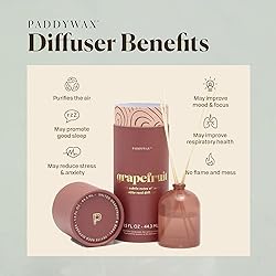 Paddywax Petite Collection Scented Oil Reed