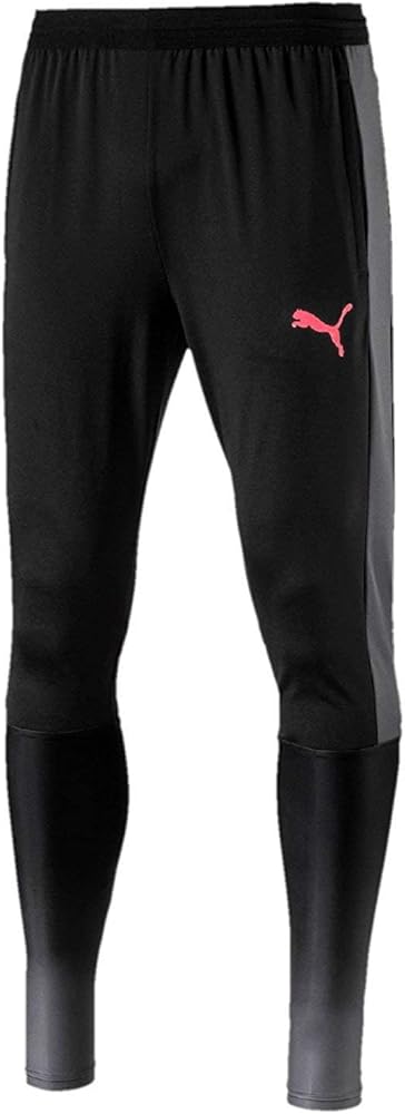 Puma evotrg pants Clearance