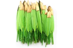 Sowder 50pcs Colorful Gold Goose Feathers 4-6inch(10-15cm) for Art Craft Party Decoration Clothing Accessories Duck Feather(Lime Green)