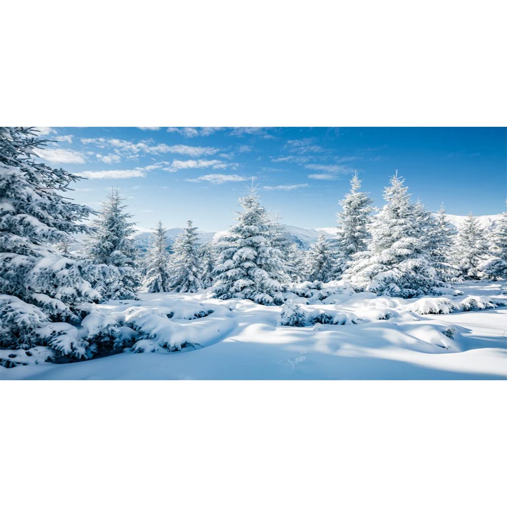 Photo 1 of CSFOTO 20x10ft Winter Scene Photo Backdrop Winter Mountain Landscape Christmas Tree Snow Forest Background Wonderland Backdrop Kids Adults Photo Wallpaper