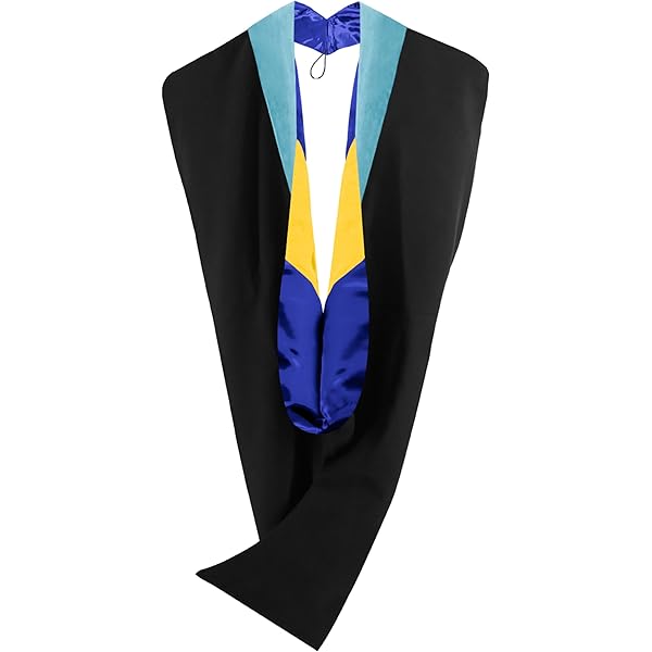 Amazon.com: GRADWYSE Business Administration MBA Master Hood